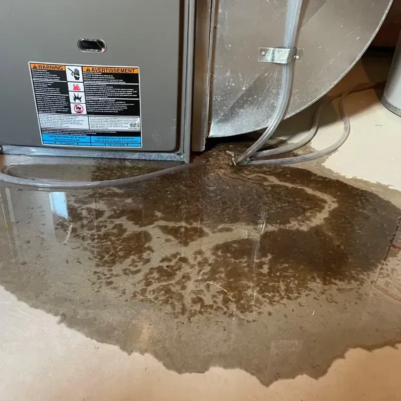 Appliance Leak Cleanup in Cullowhee, NC